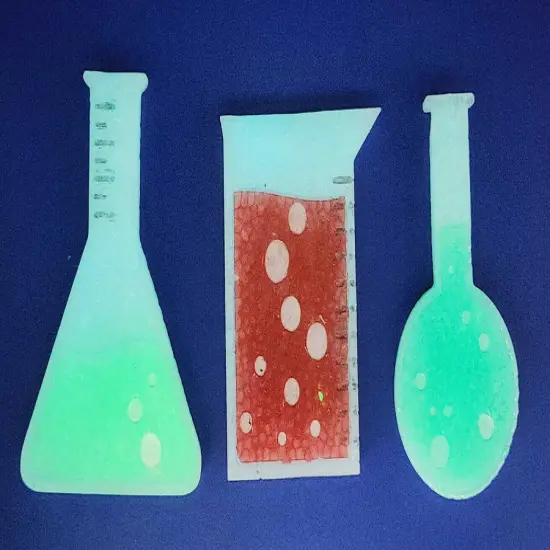 Florence Flask Silicone Freshie MOld {4}