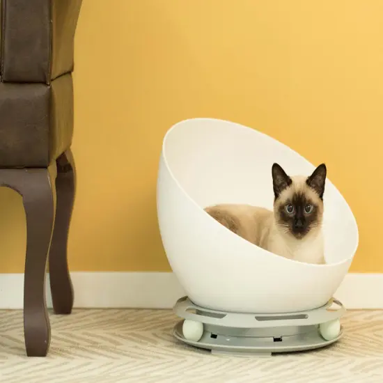 Plastic Bowl Shaped Sleeping Bed House Cat Cave Lounge with Ball Toy {2}