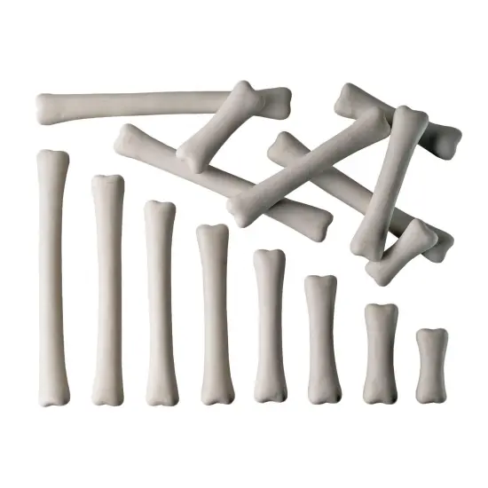Dinosaur Bones Match & Measure Set {1}