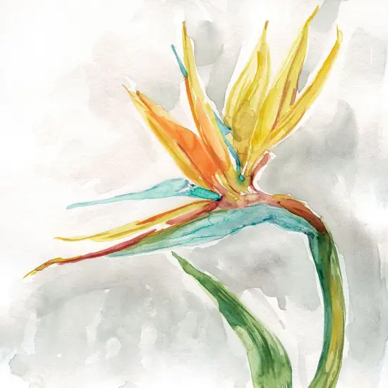 Bird of Paradise II by Carol Robinson - Item # VARPDX40540 {1}