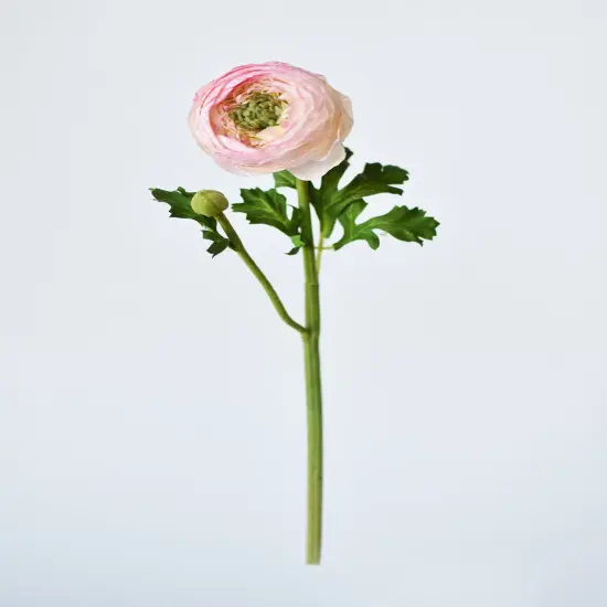 13" Faux Blush Ranunculus Stem {2}
