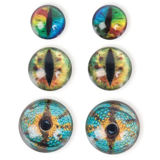 Solid Oak Steampunk Acrylic Accents 6/Pkg-Dragon Eyes Brights {2}