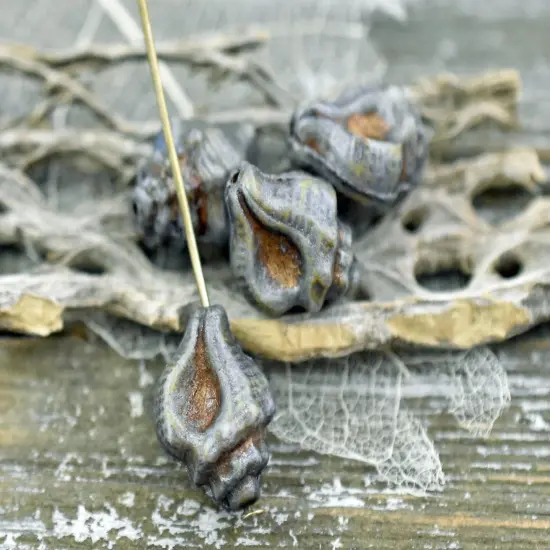 *8* 14x11mm Bronze Washed Blue Lazure Conch Shell Beads {2}
