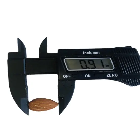 16pc Almonds Silicone Mold| Realistic Peanuts| Food Shaped Mold| Candle| Soap | Embeds. Mold for Wax| Resin| Clay| Not Food Grade {5}