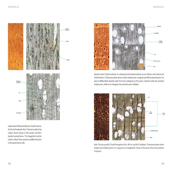 Living with Wood {6}
