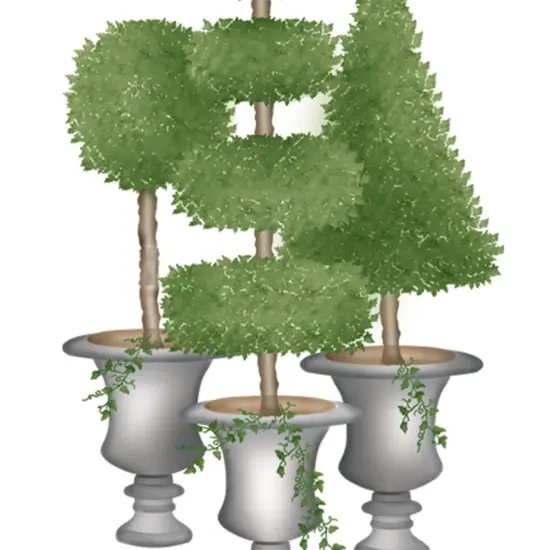 Large Three Topiary Wall Stencils | 2648 by Designer Stencils | Floral Stencils | Reusable Art Craft Stencils for Painting on Walls, Canvas, Wood | Reusable Plastic Paint Stencil for Home Makeover | Easy to Use & Clean Art Stencil {2}