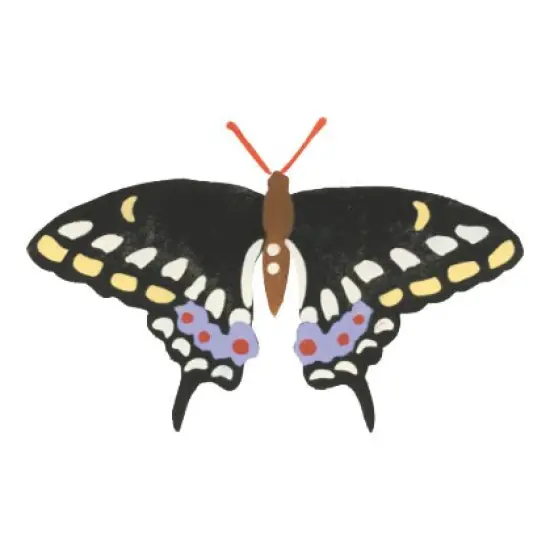 Black Swallowtail Butterfly Wall Stencil | 2686 by Designer Stencils | Animal & Nature Stencils | Reusable Art Craft Stencils for Painting on Walls, Canvas, Wood | Reusable Plastic Paint Stencil for Home Makeover | Easy to Use & Clean Art Stencil {1}