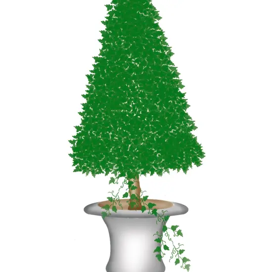 Medium Cone Topiary Wall Stencil | 2647 by Designer Stencils | Floral Stencils | Reusable Art Craft Stencils for Painting on Walls, Canvas, Wood | Reusable Plastic Paint Stencil for Home Makeover | Easy to Use & Clean Art Stencil {2}