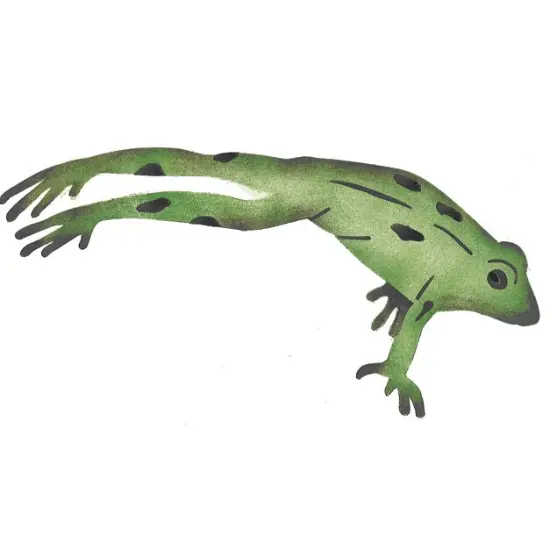 Leaping Frog Wall Stencil | 2630 by Designer Stencils | Animal & Nature Stencils | Reusable Art Craft Stencils for Painting on Walls, Canvas, Wood | Reusable Plastic Paint Stencil for Home Makeover | Easy to Use & Clean Art Stencil {2}