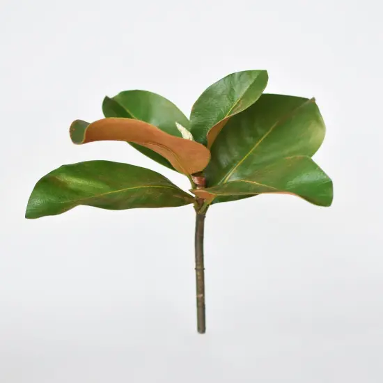 14" Faux Magnolia Leaf Stem {1}