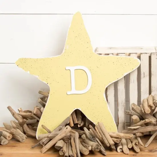 18 in. Unfinished Starfish {3}