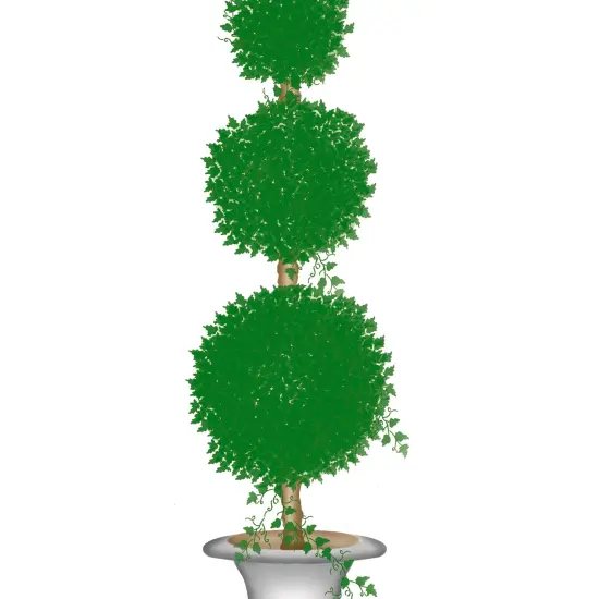 Medium Topiary with Round Balls Wall Stencil | 2645 by Designer Stencils | Floral Stencils | Reusable Art Craft Stencils for Painting on Walls, Canvas, Wood | Reusable Plastic Paint Stencil for Home Makeover | Easy to Use & Clean Art Stencil {2}