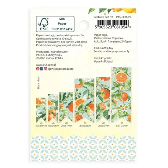 Fresh Lemonade Double-Sided Cardstock Tags 10/Pkg-#02 {2}