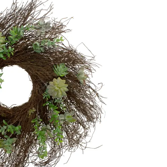 Northlight Eucalyptus and Succulents Artificial Twig Wreath - 22-Inch Green {4}