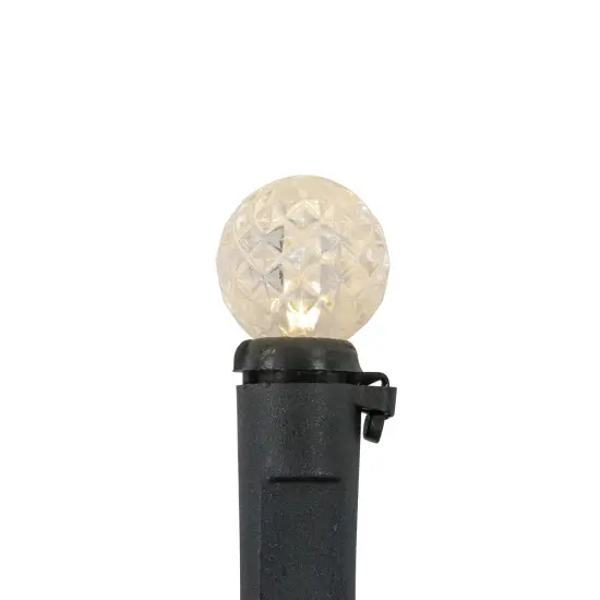 Northlight LED G12 Berry Christmas Lights - Warm White - 16' Black Wire - 50ct {5}