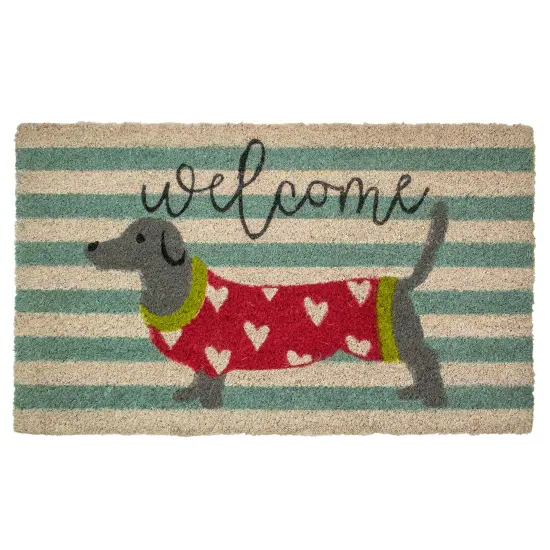 Northlight Natural Coir Rectangular Dachshund Dog Welcome Doormat 18" x 30" Blue {1}