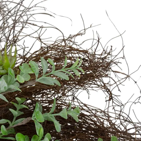 Northlight Eucalyptus and Succulents Artificial Twig Wreath - 22-Inch Green {5}