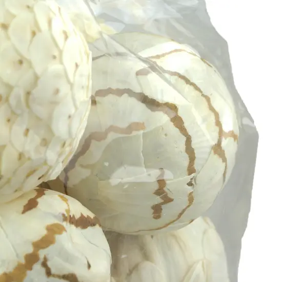 18 Piece Natural White and Brown Exotic Dried Organic Decor Balls {3}