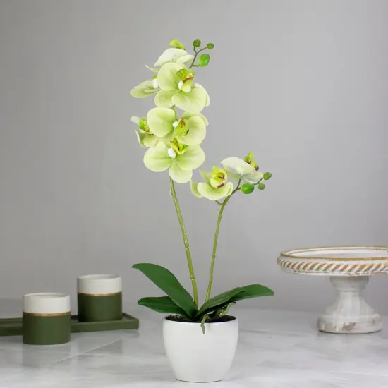Northlight Real Touch&trade;️ Artificial Orchid Potted Plant - 14" - White and Green {3}