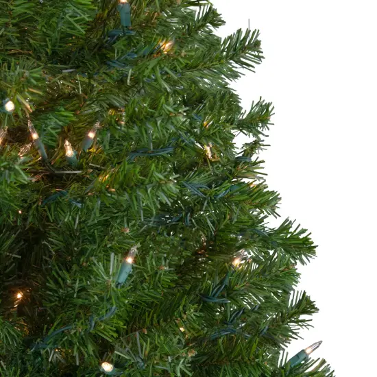 Northlight Pre-Lit Medium Canadian Pine Artificial Christmas Tree - 6' - Clear Lights Green {5}