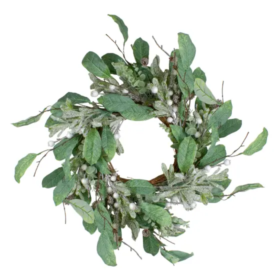 Northlight 25" Artificial Mixed Foliage and Berries Christmas Wreath Unlit Green {1}