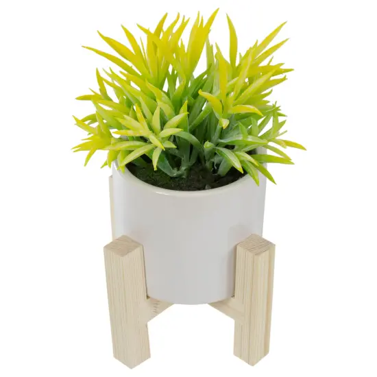 Northlight 8" Potted Green Artificial Succulent with Wooden Stand {6}