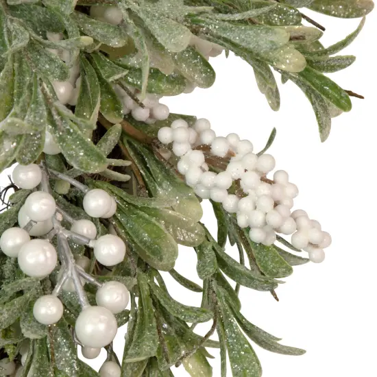 Northlight Artificial Christmas Wreath with Frosted Foliage and Berries, 20-Inch, Unlit Green {4}