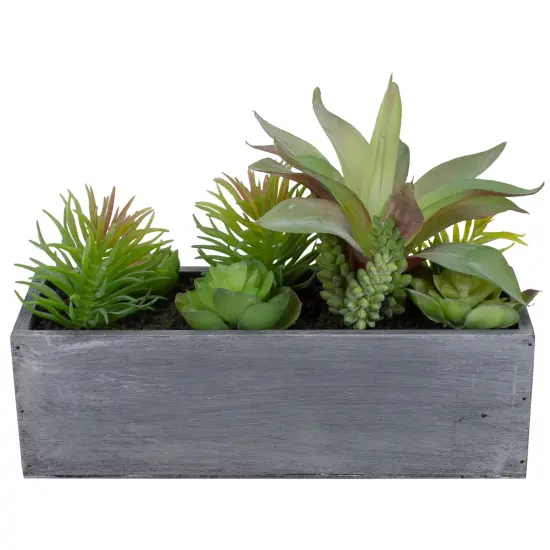 Northlight 12" Artificial Mixed Succulent Plants in a Rectangular Planter Green {5}