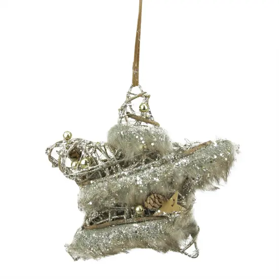 Gallerie II 8.5" Silver and Brown Rustic Trim Glittered Star Christmas Ornament {1}