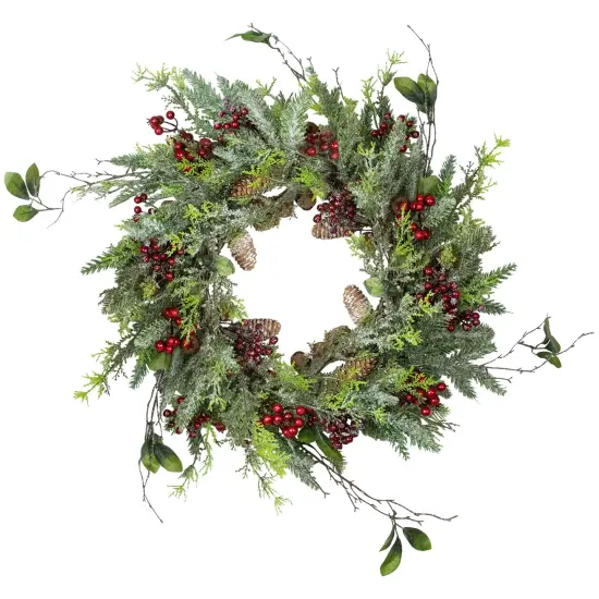Northlight Frosted Pine and Berry Artificial Christmas Wreath, 25-Inch, Unlit Green {1}