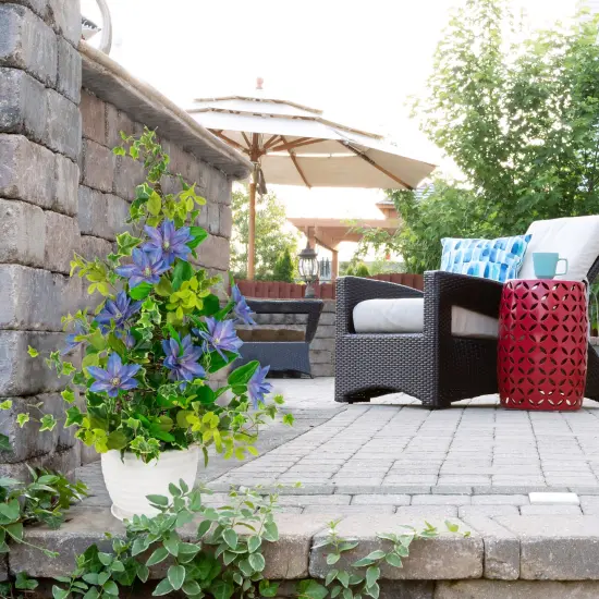 Northlight Real Touch&trade; Blue Artificial Lotus Floral Sprays, Set of 6 - 25" {3}