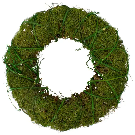 Northlight Moss and Vine Artificial Wreath - 12" - Green {1}