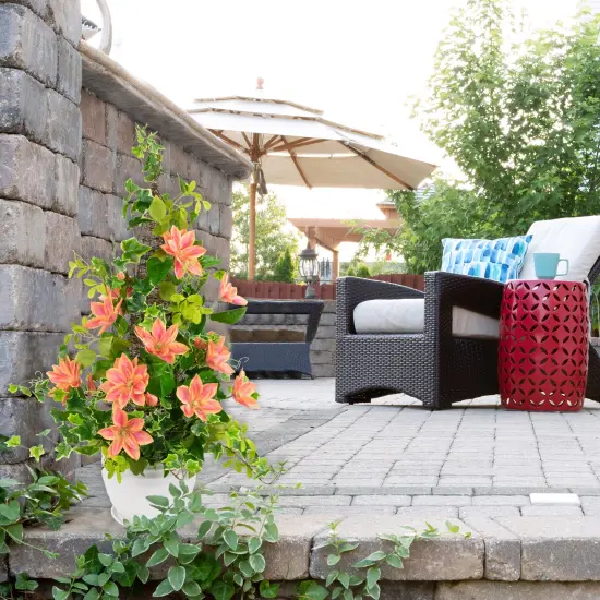 Northlight Real Touch&trade; Coral Orange Artificial Lotus Floral Sprays, Set of 6 - 25" {3}