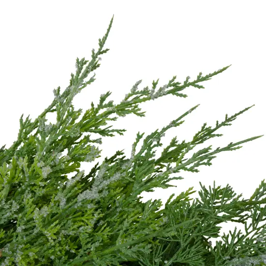 Northlight Real Touch™️ Frosted Cedar and Pinecone Artificial Christmas Wreath - 26" - Unlit Green {5}