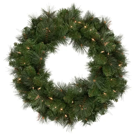 Northlight Mixed Beaver Pine Artificial Christmas Wreath - 24" - Clear Lights Green {1}