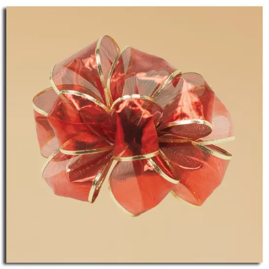 CC Christmas Decor Sheer Red Luxurious Gold Edged Gift Boxed Wired Craft Ribbon 2.5" x 10 Yards {1}