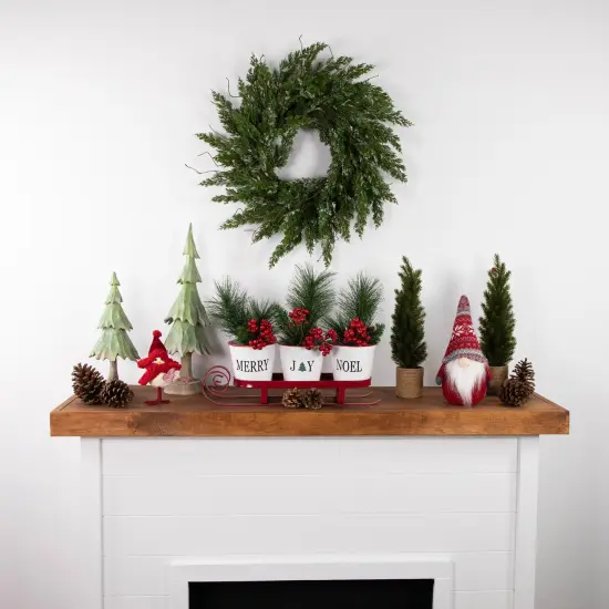 Northlight Real Touch&trade;️ Iced Cedar Artificial Christmas Wreath- 24" - Unlit Green {4}