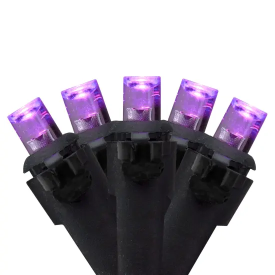 Northlight Wide Angle LED Christmas Lights - Purple - 16' Black Wire - 50ct {3}