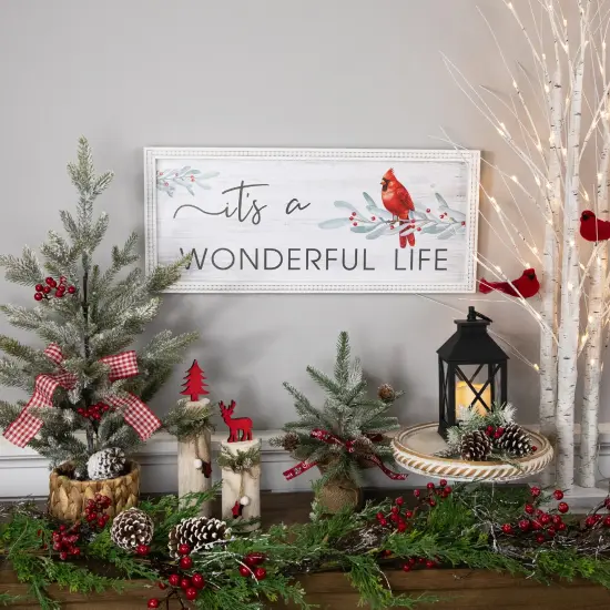 Northlight 23.5" Framed It's A Wonderful Life Christmas Wall Sign White {7}