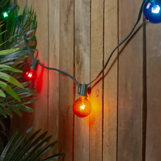 Northlight Transparent G40 Globe Christmas String Lights - MultiColor - 9' Green Wire - 10ct {1}