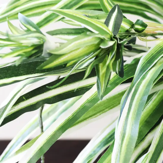 12-Pack: Spider Fern Plant with 60 Silk Fronds, 32" Wide by Floral Home&reg; {5}