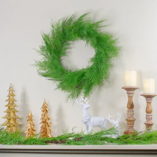 Northlight Real Touch™️ Artificial Cedar Christmas Wreath - 24" - Unlit Green {3}