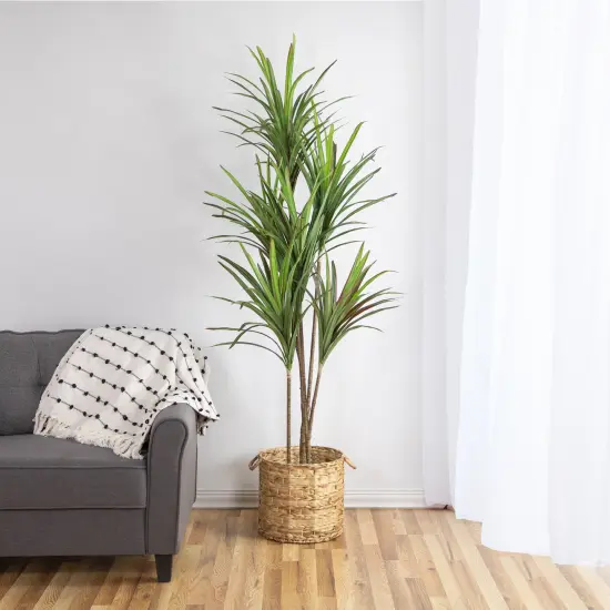 Northlight Real Touch&trade; Artificial Dracaena Marginata Plant in Black Pot - 5.5' Green {3}
