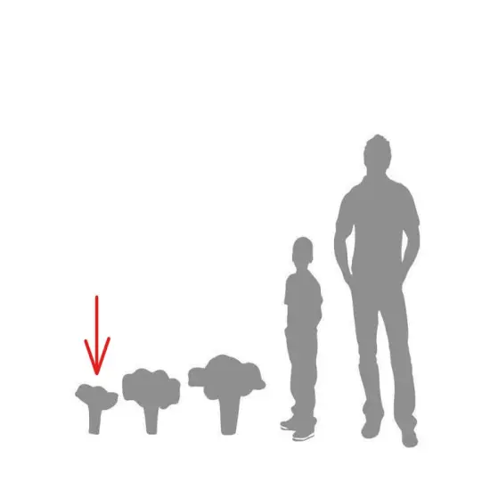 Small Chanterelle Mushroom Over Sized Statue {6}