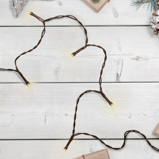 Northlight LED Wide Angle Christmas Lights - Warm White - 3' Brown Wire - 10ct Clear {3}