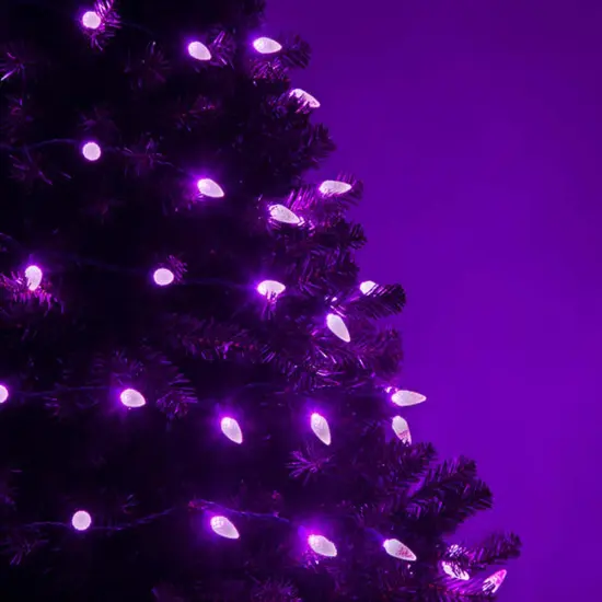 70 Purple C6 LED Christmas Lights, Green Wire, 4" Spacing {6}