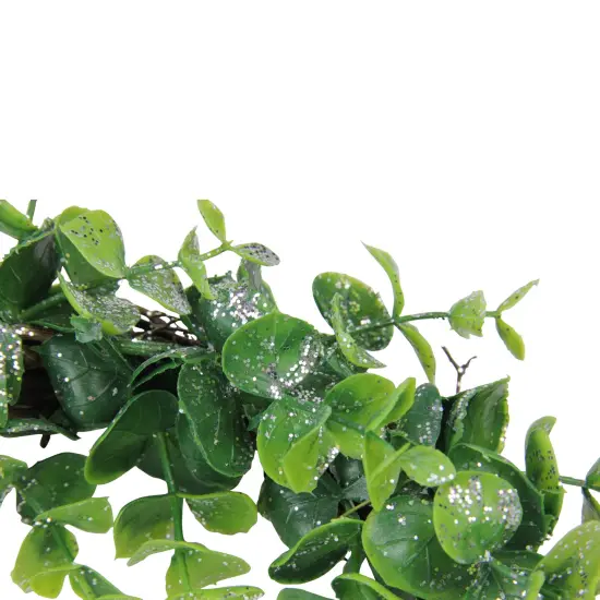 Northlight Sparkling Silver and Green Grass Decorative Artificial Christmas Wreath - 8.75-Inch, Unlit {3}