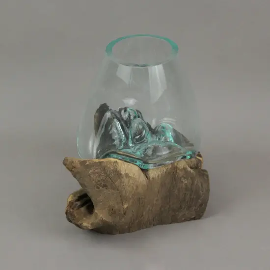 Molten Glass On Teak Driftwood Decorative Bowl/Vase/Terrarium Planter Home Decor {6}