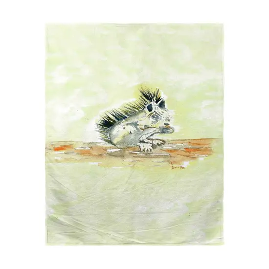 Betsy Drake Baby Squirrel Beach Towel Multicolor {1}