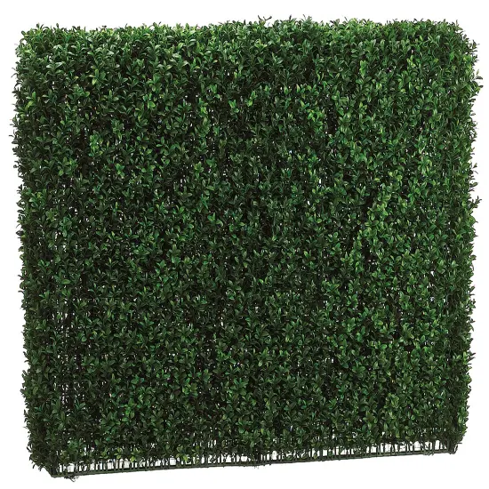 33 Inch Tall Boxwood Hedge Two Tone Green {1}